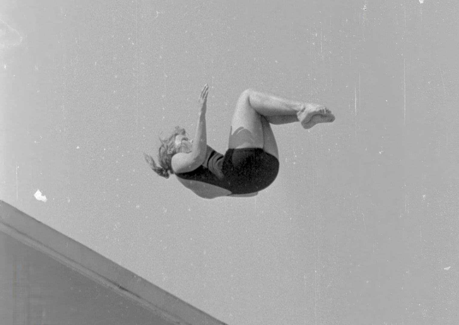 Swimmer jumping from high diving board, legs drawn up, and arms bent. She falls face up. Picture is in black and white, and has scratches as the negative was damaged.